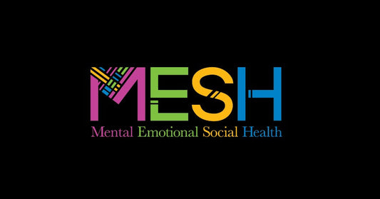 The Write Your Own Story Journal Earns MESH Accreditation!